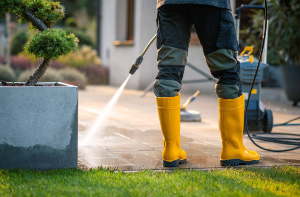 Best Affordable Pressure Washing  in Norridge, IL